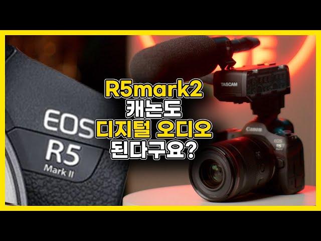 소니만 되냐 캐논 R5m2 도 된다 ! 마이크 케이블이 필요없는 디지털 오디오 TASCAM CA-XLR2d-C