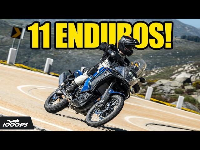 Reiseenduro Vergleich 2024 - 11 Motorräder im Test