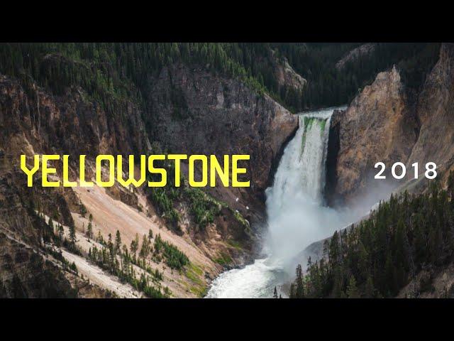 Yellowstone (Summer 2018) | film journal #1