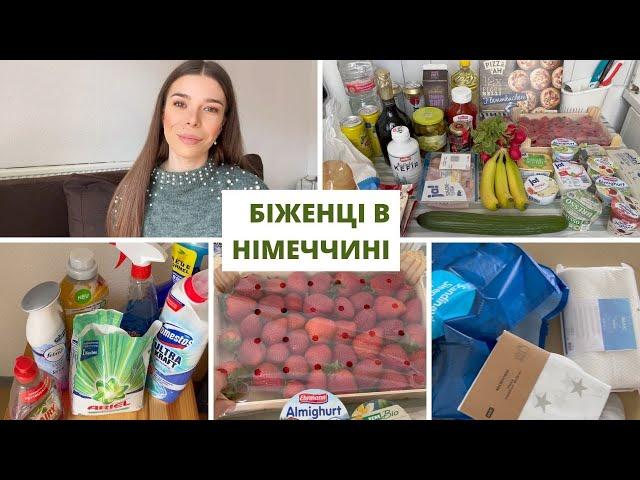 Влог ЩБ: покупки для дому в Jysk,Tedi/покупки продуктів в Германії/нові закони для біженців