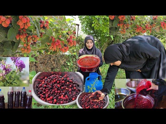 طريقة تخزين عصير التوت  لعدة سنوات 