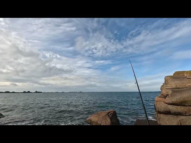 Pêche du bord en Bretagne d'un bar au leurre de surface en zone rocheuse