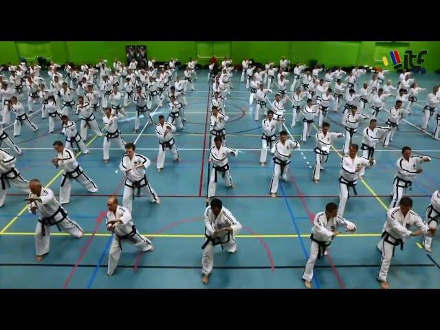 The International Taekwon-Do Federation