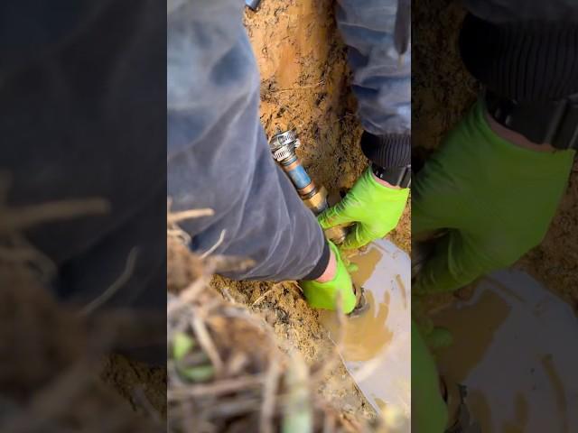 Installing a Watts Pressure Reducing Valve - Pex x Poly Transition #plumbing #plumber #asmr #shorts