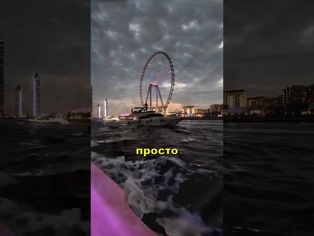 Как Получить Поддержку от Профессора 3 Шага!