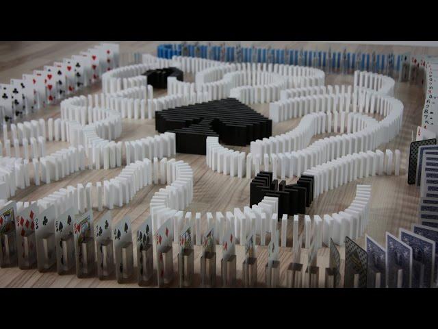 Magic in 16,000 dominoes (DominoERDMANN & DominoJOJO)