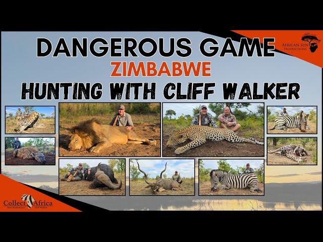 Hunt the 11 yard lion. Hunting Dangerous Game with Cliff Walker - Zimbabwe hunting at its best