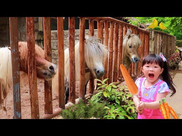 Feeding Fun Pony Horse Lions Fish Birds Monkeys - Learn About Animals at Zoo