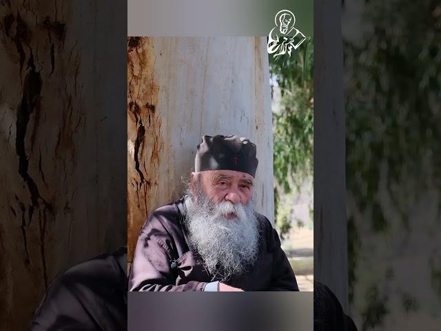 Старец Досифей, настоятель монастыря Агия Скепи Элладской Церкви о Епифании #Епифаний #Онуфрий #УПЦ