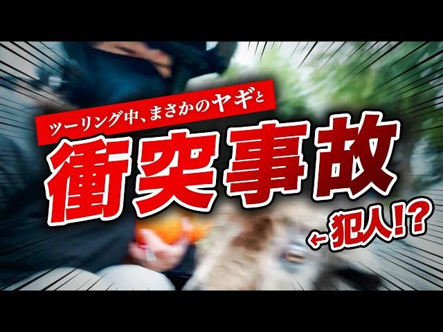 【バイク女子】嘘だろ!?ツーリング中、ヤギに絡まれぶっ飛ばされる... | レブル250 | 阿蘇 大分 ツーリング