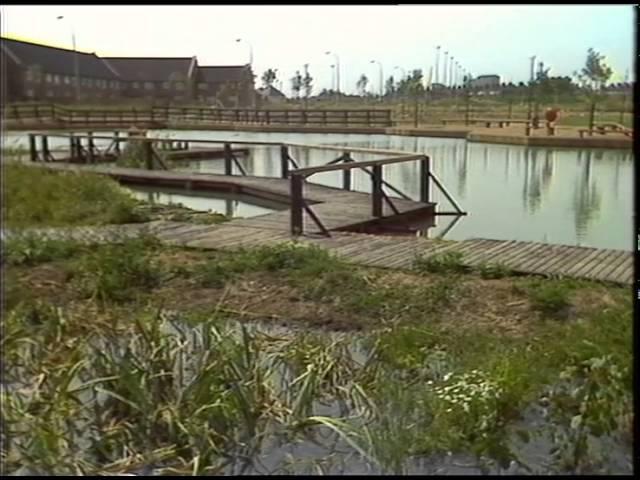 POND - Ecological Park.