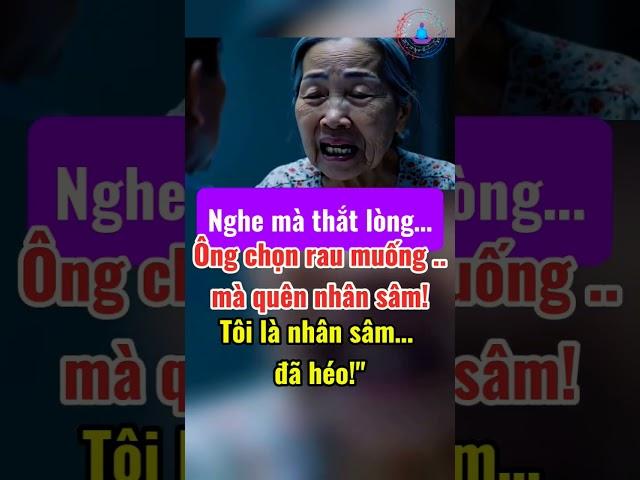  Nhân Sâm Trong Tủ – Câu Chuyện Cảm Động Về Hôn Nhân & Tình Yêu Đã Quên | Cuộc Sống Ngọt Ngào