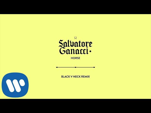 Salvatore Ganacci  - Horse (Black V Neck Remix) [Official Audio]