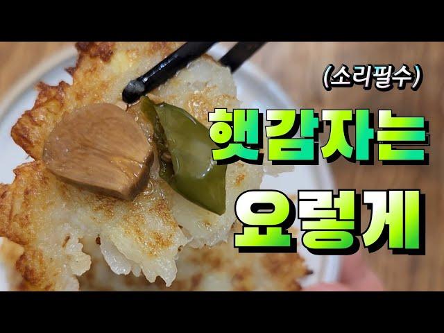 햇감자의 시대가 찾아 왔다! 이렇게 잡솨! 행복허다!