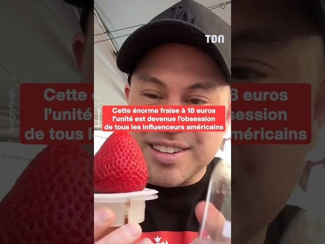 Cette énorme fraise à 18 euros l’unité est devenue l’obsession de tous les influenceurs américains