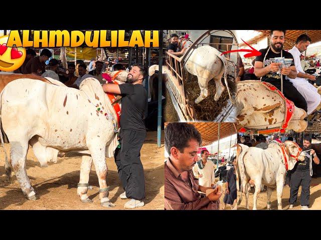 FINALLY APNI QURBANI KE LIYE PYARE JANWAR LELIYA  I SYED FAHAD