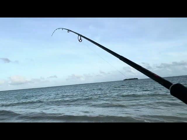 Usual time to catch trevally/ just before sunrise!