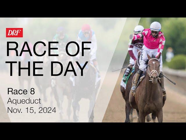 DRF Friday Race of the Day | Aqueduct Race 8 | November 15, 2024