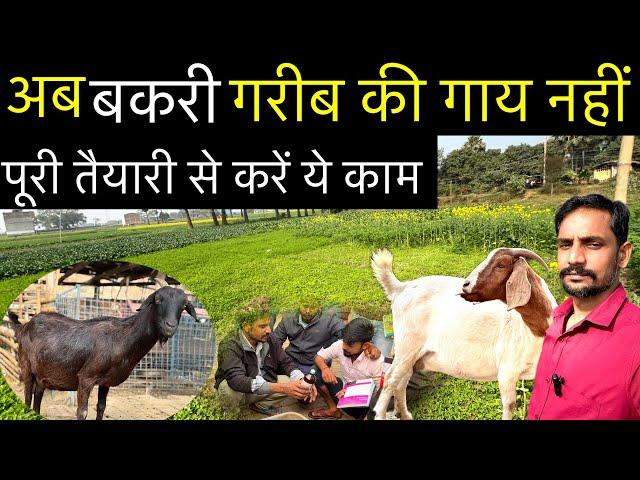 बकरी पालन की तैयारी । Real knowledge for goat farming | goat farming training