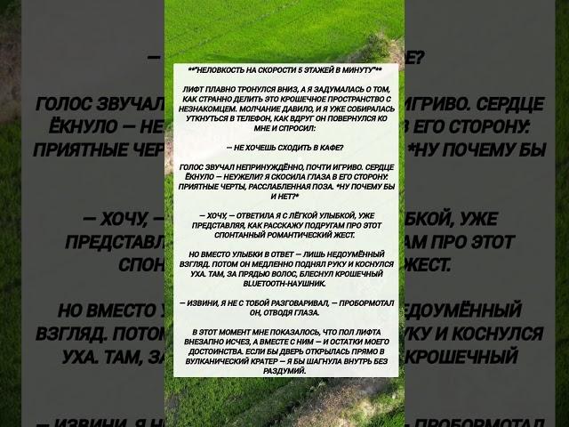 Неловкость на скорости 5 этажей в минуту