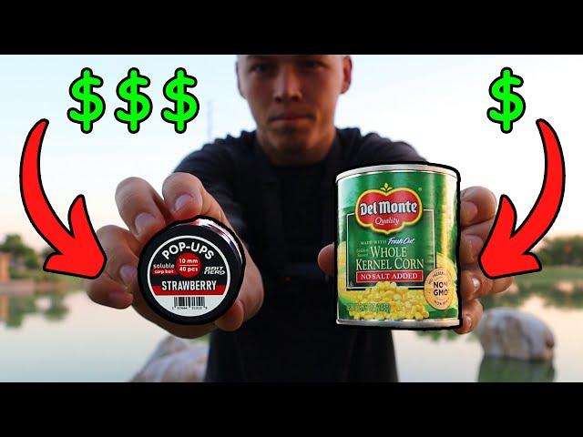 Testing The CHEAPEST & MOST EXPENSIVE Carp Baits