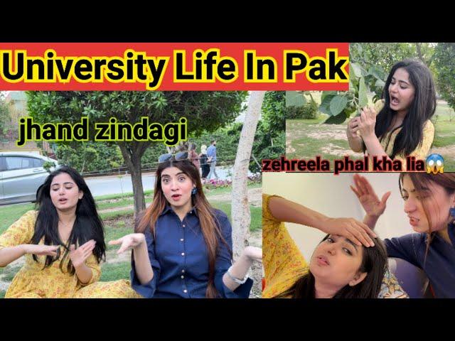 University Life In Pak|Jhand Life|Zehreela phal kha lia|Mehwish Naz Vlogs