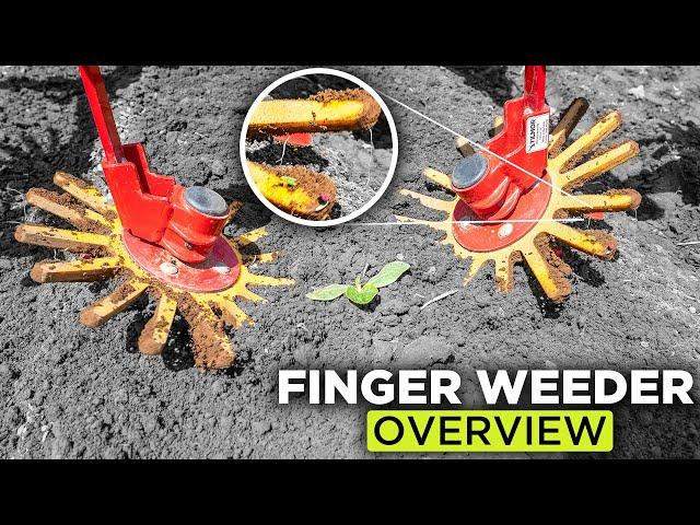 High Efficiency In-Row Weed Removal - Finger Weeder Overview