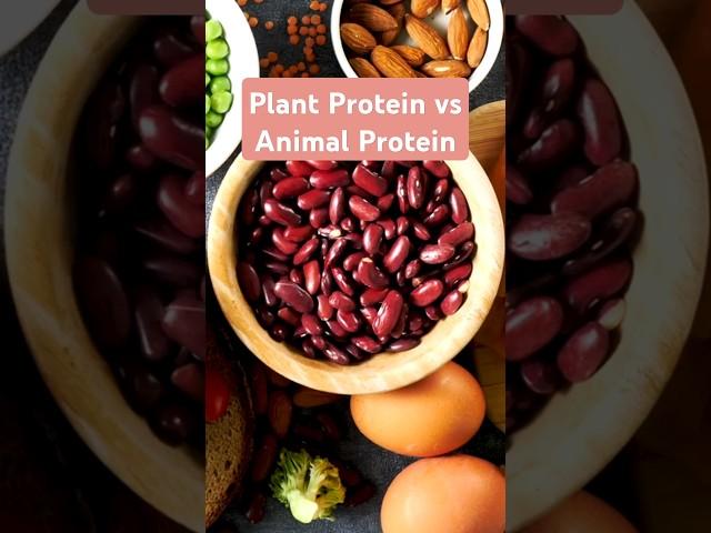 PLANT vs MEAT PROTEIN What's the Best for Building Muscle