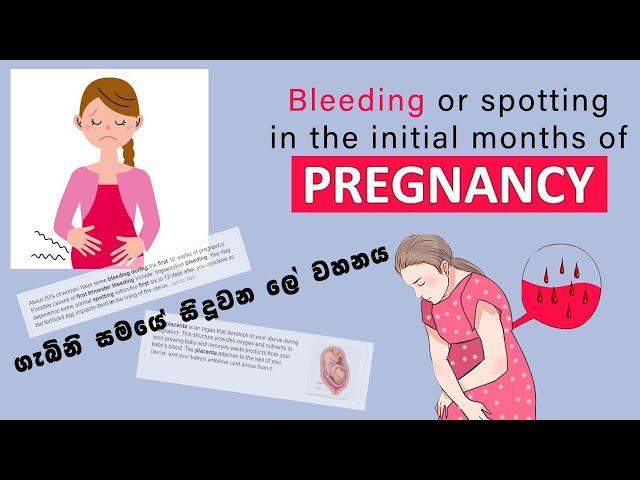 VAGINAL BLEEDING | EMERGANCY ROOM VISIT | 1st TRIMESTER UPDATE in SINHALA | Dhananjie Padmaperuma