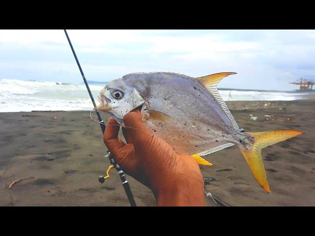 Rangkaian mancing ikan baby pompano