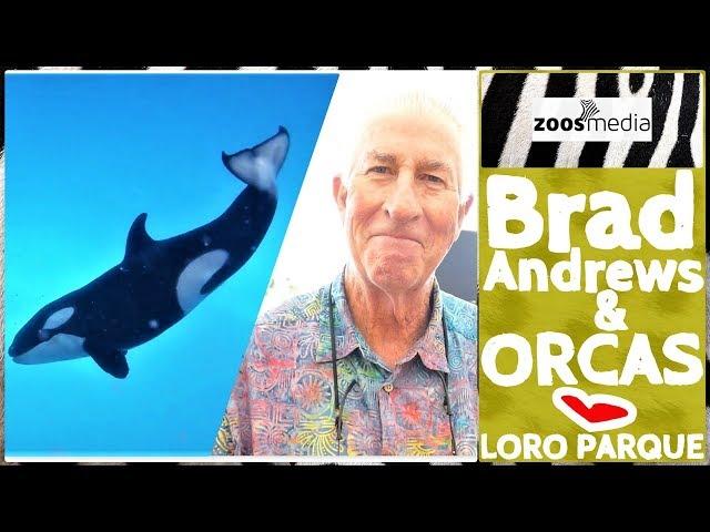 Loro Parque: ORCA expert explains HUSBANDRY & BREEDING  | zoos.media