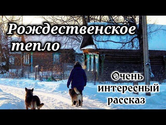 ️ОЧЕНЬ ИНТЕРЕСНЫЙ РАССКАЗ."Рождественское тепло" «Рождественский рассказ» / (Христианский рассказ)