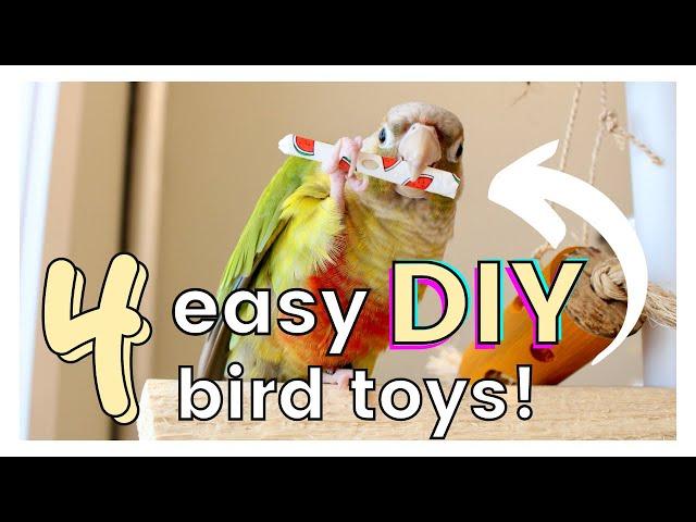 4 EASY DIY BIRD TOYS!