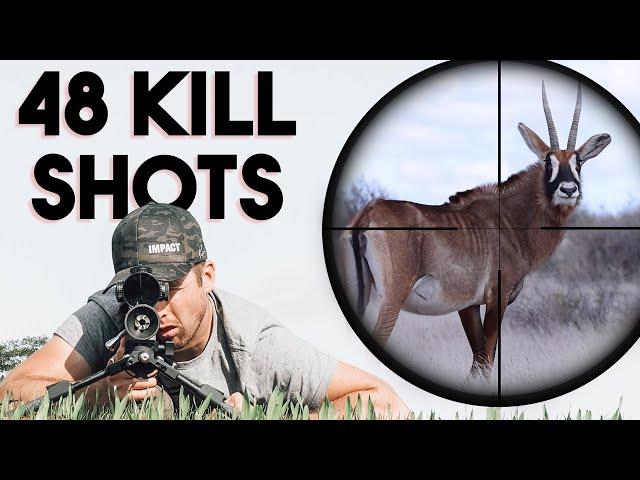 48 Amazing Hunting Kill Shots (4K)