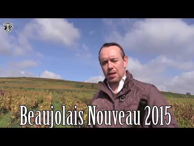 TLTV #70 Deutsch: WELT ERSTE Beaujolais Nouveau Villages 2015 Wine Tasting PRIMEUR