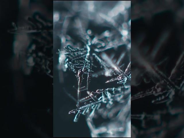 AI on Cryonics (What is Vitrification)