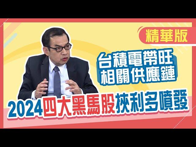 【精華／鄭廳宜】2024台股攻2萬點不是夢!台積電帶旺相關供應鏈 億元教授公開2大2小黑馬股!