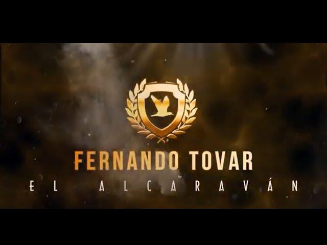 @FernandoTovar - Mosaico Fernandero