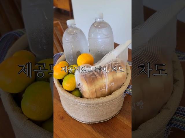 서귀포 숙소 봉주르제주 남쪽 숙소 서귀포 독채펜션 제주도 귤밭숙소 귤밭스테이