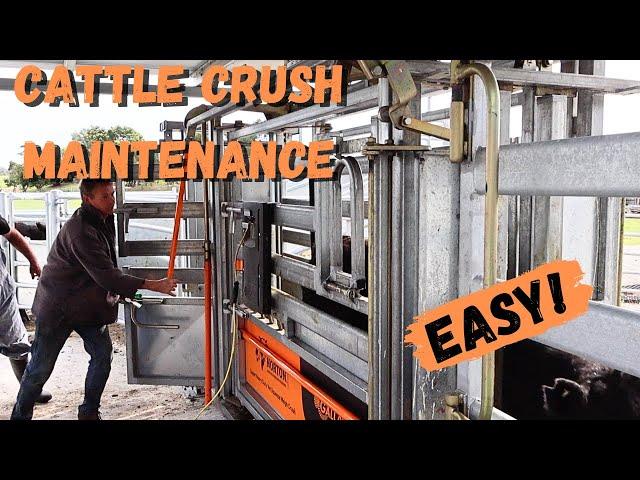 Easy Cattle Crush Maintenance Anyone Can Do