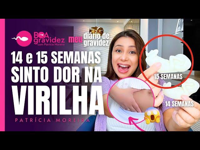 DOR NA VIRILHA COM 14 e 15 SEMANAS  DE GESTAÇÃO | Diário de Gravidez