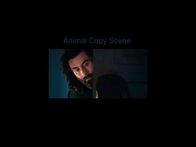 Animal Movie Same Scene Found •Animal movie copied scene ? •  Satranga #shorts #animalmovie #ranbir