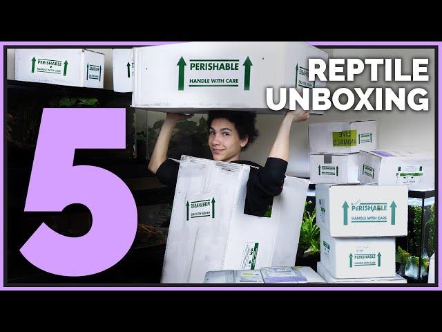 Unboxing 12 Unique Pet Reptiles! Big, Neglected Animals and Aquatics