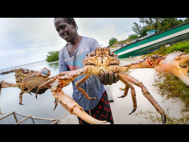 Huge Caribbean KING CRAB  RUNDOWN!! Jamaican Seafood Tour - Jamaica! 