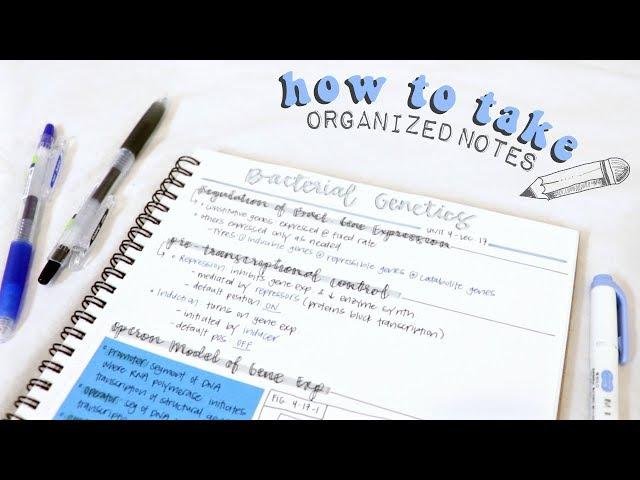 how to take organized notes & study effectively! | christylynn