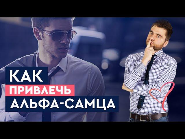 Как привлечь альфа самца? Опасные ошибки в выборе мужчины | Лев Вожеватов