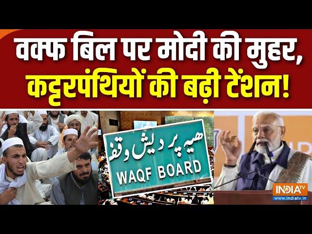 PM Modi Statement On Waqf Board: वक्फ बिल पर मोदी की मुहर...उलेमा बोर्ड बेचैन | Maharashtra Election