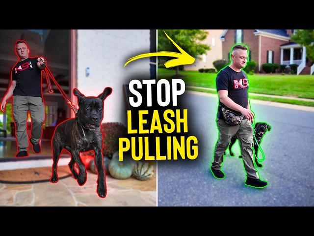 How To FIX Leash Pulling in UNDER 10 Minutes!