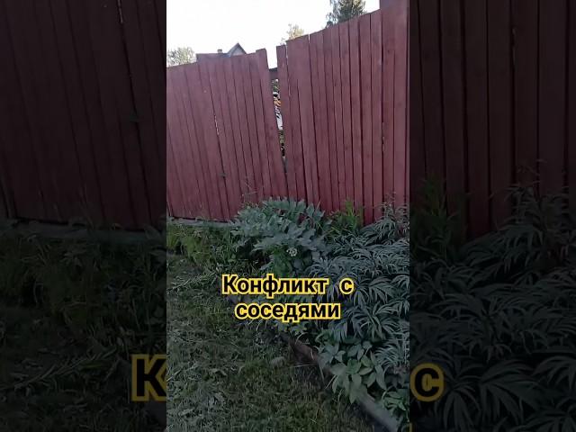 Выкладывают камни на проезжую дорогу, чтобы не гоняли #скандал #соседи #проблемы #ссора #драки