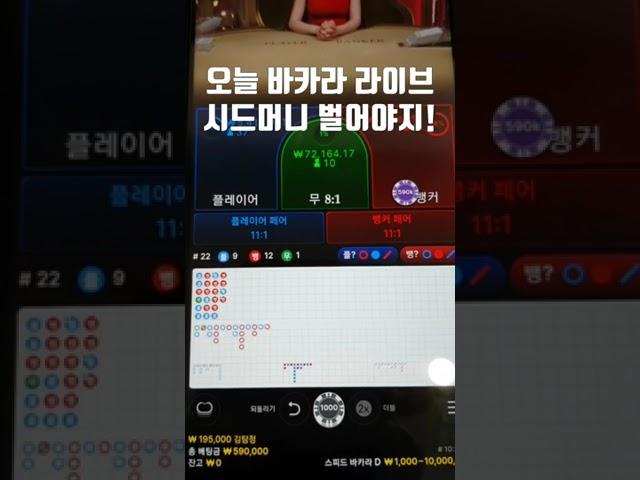 바카라 플뱅뱅 그림장으로 업치기 투깡 #바카라 #바카라투깡 #shorts